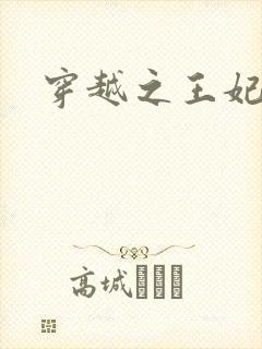 穿越之王妃有孕