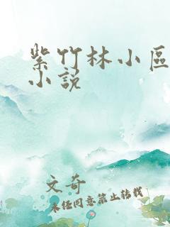 紫竹林小区快递小说