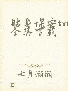 贴身保安txt全集下载