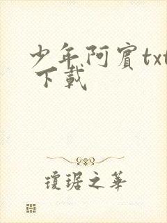 少年阿宾txt 下载