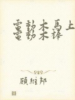 电动木马上两个电动木棒