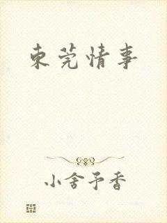 东莞情事