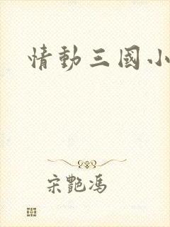 情动三国小说