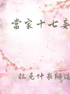 当家十七妾