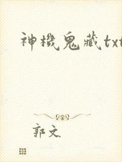 神机鬼藏txt