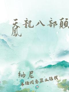 天龙八部颠龙鸾凤