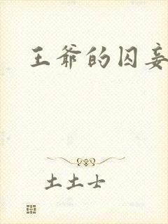 王爷的囚妾