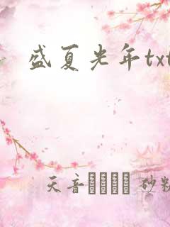 盛夏光年txt