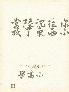 当陆沉往你里面放了东西小玩具