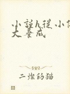 小说h从小做到大养成