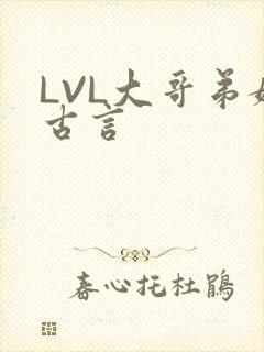 LVL大哥弟媳古言