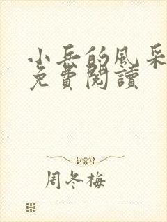 小兵的风采小说免费阅读