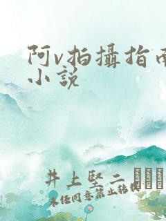 阿v拍摄指南说小说