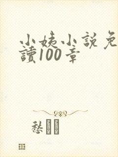 小姨小说免费阅读100章