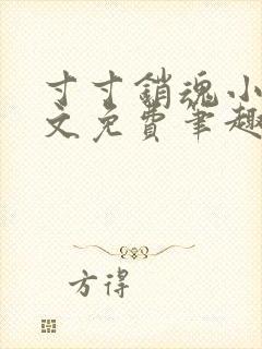 寸寸销魂小说全文免费笔趣阁