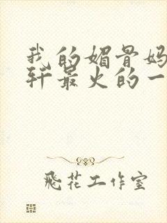 我的媚骨妈妈林轩最火的一句