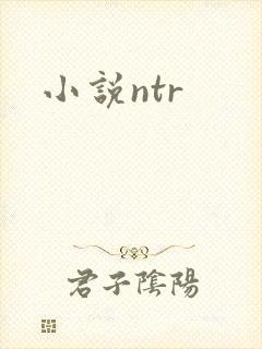 小说ntr