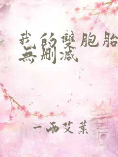 我的双胞胎老婆无删减