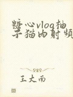 糖心vlog柚子猫内射频