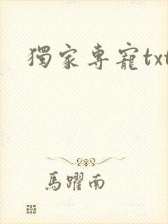 独家专宠txt