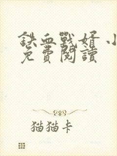 铁血战婿 小说免费阅读