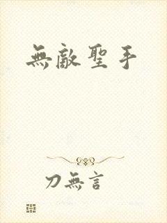 无敌圣手