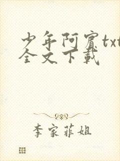 少年阿宾txt全文下载