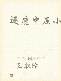 逐鹿中原小说