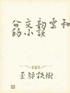 公交韵云和小健的小说