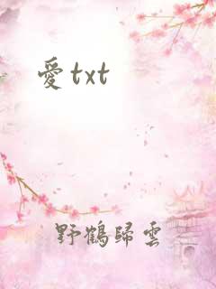 爱txt