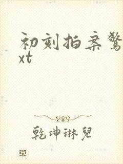 初刻拍案惊奇txt