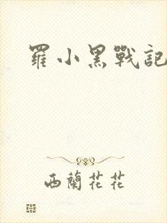 罗小黑战记小说