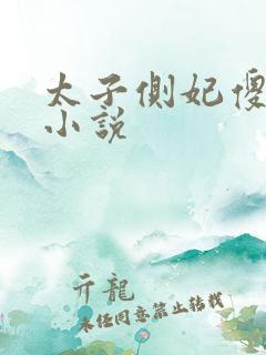 太子侧妃傻乎乎小说