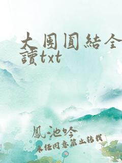 大团圆结全文阅读txt