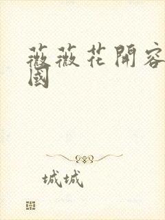 薇薇花开容颜倾国