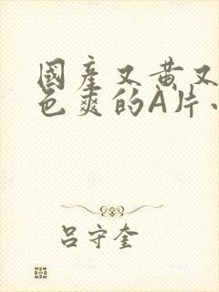 国产又黄又大又色爽的A片小说