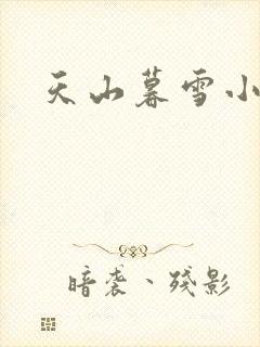 天山暮雪小说