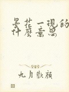 昙花一现的现是什么意思