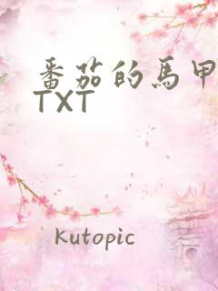 番茄的马甲小说TXT