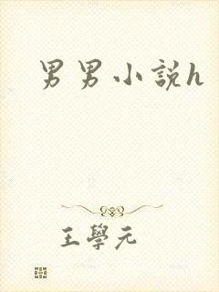 男男小说h