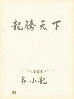 龙腾天下