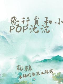 飞行员和小空乘POP沈沉