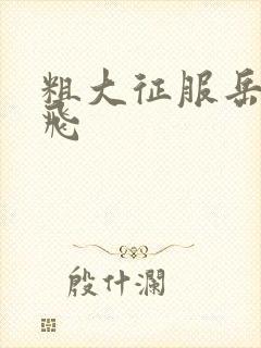 粗大征服岳女双飞