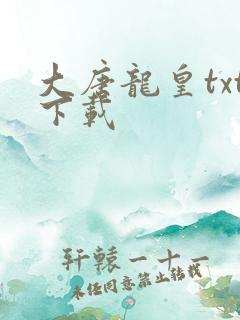 大唐龙皇txt下载
