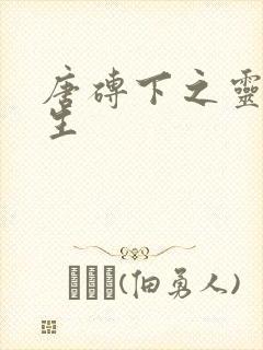 唐砖下之灵域双生