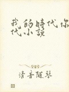 我的时代你的时代小说