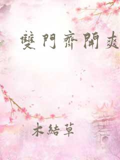 双门齐开爽死啦