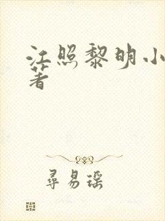 江照黎明小说原著