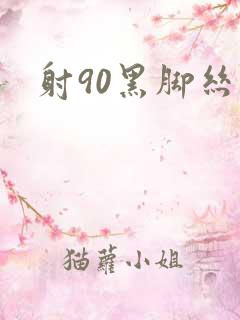 射90黑脚丝女