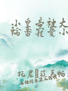 小皇帝被大臣们轮番宠爱小说